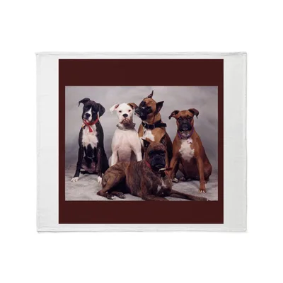 Boxer Dogs Group Photo Blanket: Five Canine Friends Posing Together