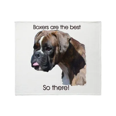 Boxers Are the Best Blanket: A Bold Boxer Design