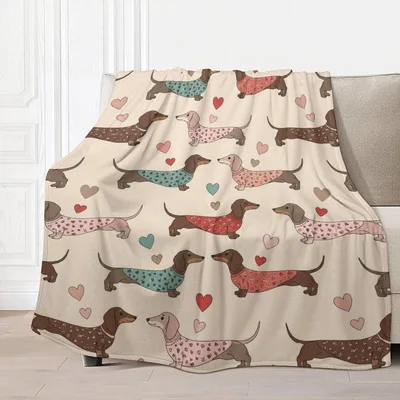 Dachshund Dogs in Love Blanket: Sausage Dogs in Sweaters