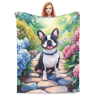 Boston Terrier in Flower Blanket: Happy Puppy on Garden Path