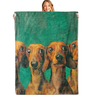 Three Dachshunds on Green Blanket: Quirky Wiener Dog Art