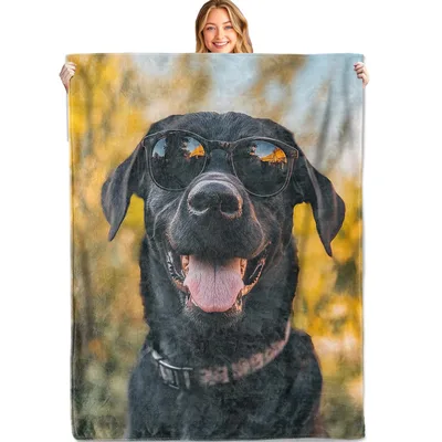 Black Lab in Sunglasses Blanket: Cool Dog Portrait for Pet Lovers