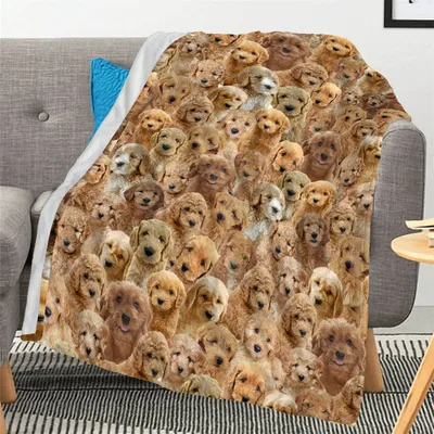 Goldendoodle Faces Pattern Blanket for Puppies and Doodle Lovers