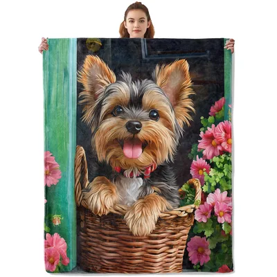 Yorkshire Terrier in Basket Blanket featuring a happy dog portrait