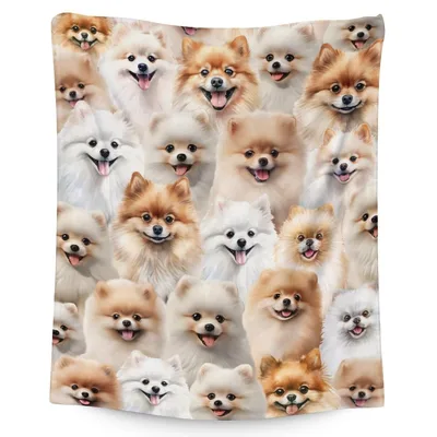 Pomeranian Dogs Pattern Blanket: Fluffy Smiling Faces Throw
