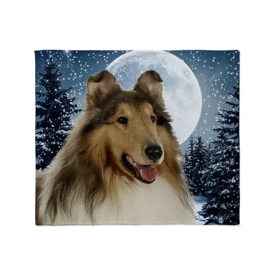Collie Dog Under Moonlight Blanket: A Joyful Collie in a Snowy Forest