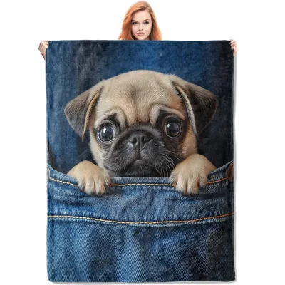 Pug in Denim Pocket Blanket: Cute Puppy Peeking from Jeans Design