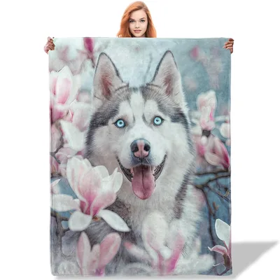 Husky Dog with Magnolias Blanket: Blue-Eyed Canine Art