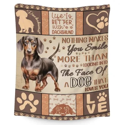 Life Is Better Blanket: Dachshund Design for Dog Lovers