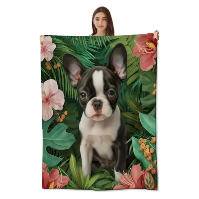 Boston Terrier in Tropical Blanket