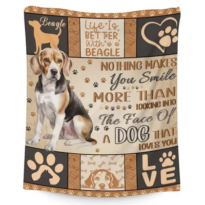 Life Is Better with Beagle Blanket: A Tribute to Canine Joy