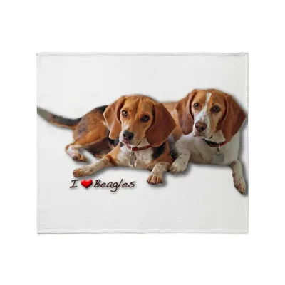 Two Beagles I Love Blanket: Adorable Canine Print