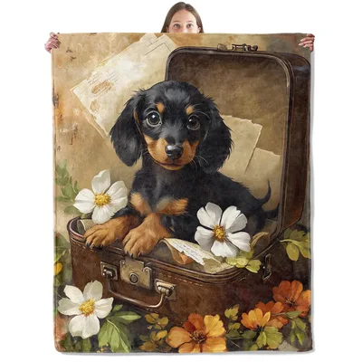 Dachshund Puppy in Vintage Blanket: A Fluffy Traveler in a Suitcase
