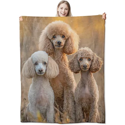 Three Poodles Sunset Portrait Blanket: Realistic Canine Art