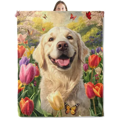 Golden Retriever with Tulips Blanket: Joyful Dog in a Spring Garden