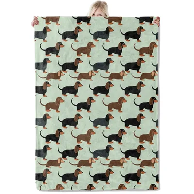 Dachshund Pattern on Mint Blanket No. 2 – Dachshund Pattern
