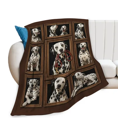 Dalmatian Photo Frames Collage Blanket features spotted dog