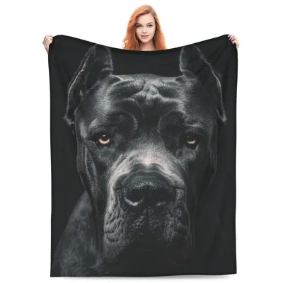 Cane Corso Dog Portrait Blanket No. 2