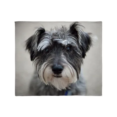Schnauzer Dog Face Portrait Blanket: Realistic Pet Art for Lovers