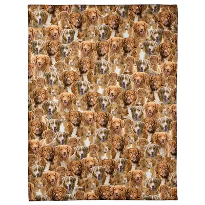 Retriever Full Face Pattern Blanket: Nova Scotia Duck Tolling Collage