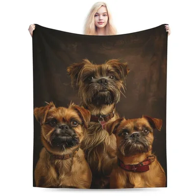 Three Brussels Griffon Dogs Blanket