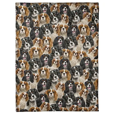 Cavalier Spaniel Full Face Blanket: A Poodle of Adorable Faces