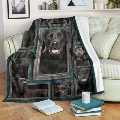 Black Labrador Dogs Portrait Blanket: Framed Canine Art