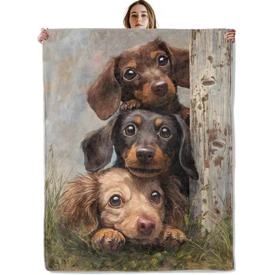 Dachshund Puppies Peekaboo Blanket: Realistic Art of Stacking Dogs