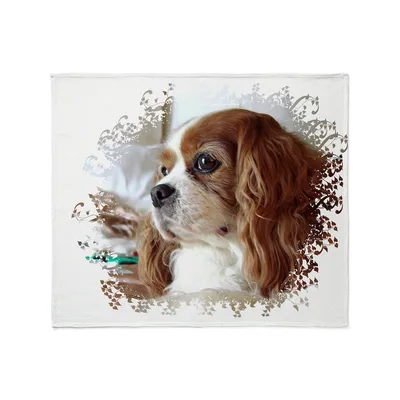 Cavalier Spaniel Portrait Floral Blanket