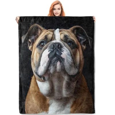 English Bulldog Face Close Blanket: Realistic Portrait Design