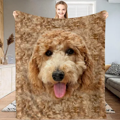 Goldendoodle Face Close Up Blanket