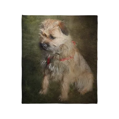 Border Terrier Dog Portrait Blanket: A Classic Canine Print