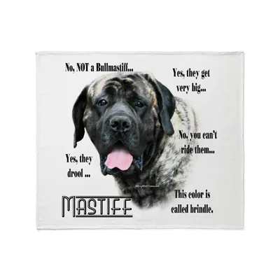 Mastiff FAQ Brindle Dog Blanket: Fun Facts About Giant Breeds