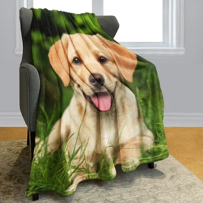 Labrador Puppy Portrait Blanket: Golden Joy in the Grass