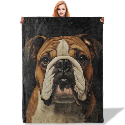 English Bulldog Face Portrait Blanket for Dog Lovers
