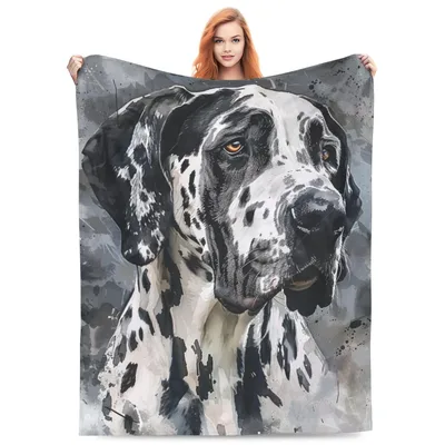 Great Dane Harlequin Portrait Blanket: Artistic Dog Lovers Gift