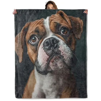 Boxer Dog Portrait Blanket No. 2: Realistic Fawn and White Canine Art