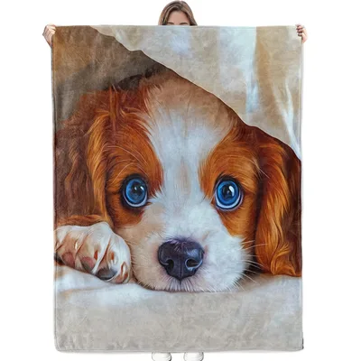 Cavalier Puppy Peeking Out Blanket: Adorable Spaniel Design