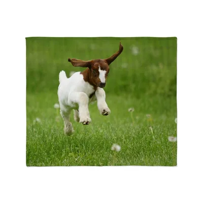 Happy Running Puppy Blanket: Joyful Goat Kid on Green Grass