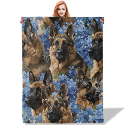 German Shepherd Dogs with Blue Blanket