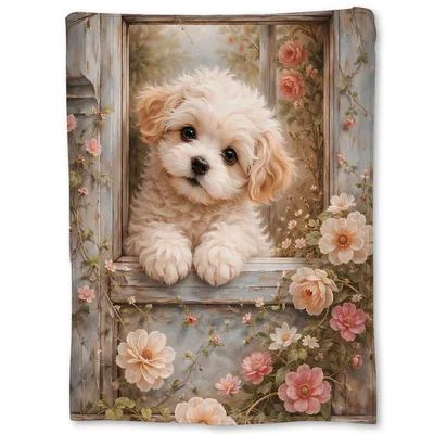 Puppy in Window Blanket