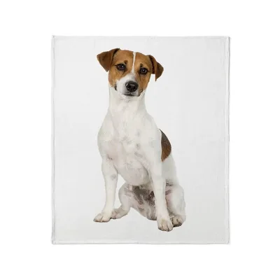 Jack Russell Terrier Dog Blanket: A Realistic Photo Print