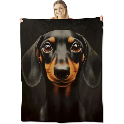 Dachshund Portrait on Black Blanket: Realistic Black and Tan Puppy Art