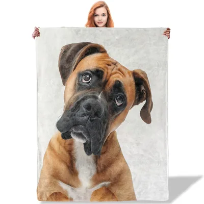 Brown Boxer Dog Portrait Blanket: A Realistic Canine Face