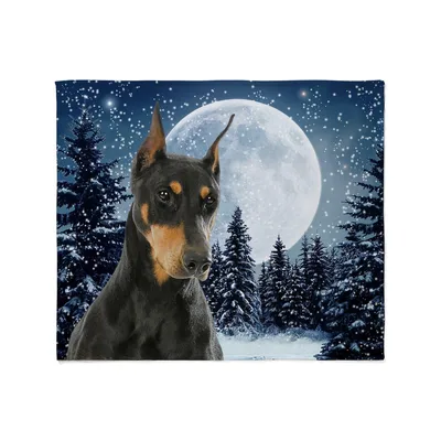 Doberman in Moonlit Winter Blanket featuring a majestic black