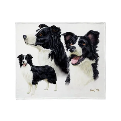 Three Border Collies Painting Blanket: Artistic Canine Portrait