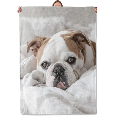 Bulldog Portrait Photo Blanket: Realistic Dog Art for Cozy Days