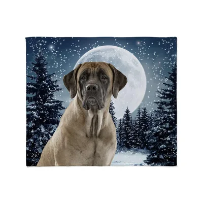 Mastiff Dog Under Full Blanket: Moonlit Winter Scene