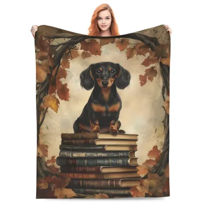 Dachshund on Stacked Books Blanket: A Literary Dog Portrait