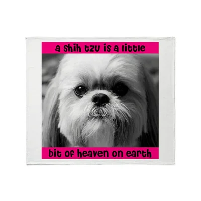 Shih Tzu Is a Little Blanket: Heaven on Earth Design